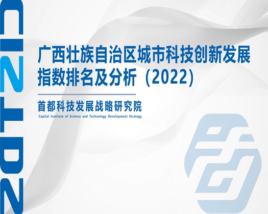 操逼视频com【成果发布】广西壮族自治区城市科技创新发展指数排名及分析（2022）